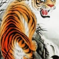 The Tiger's Whisker Story