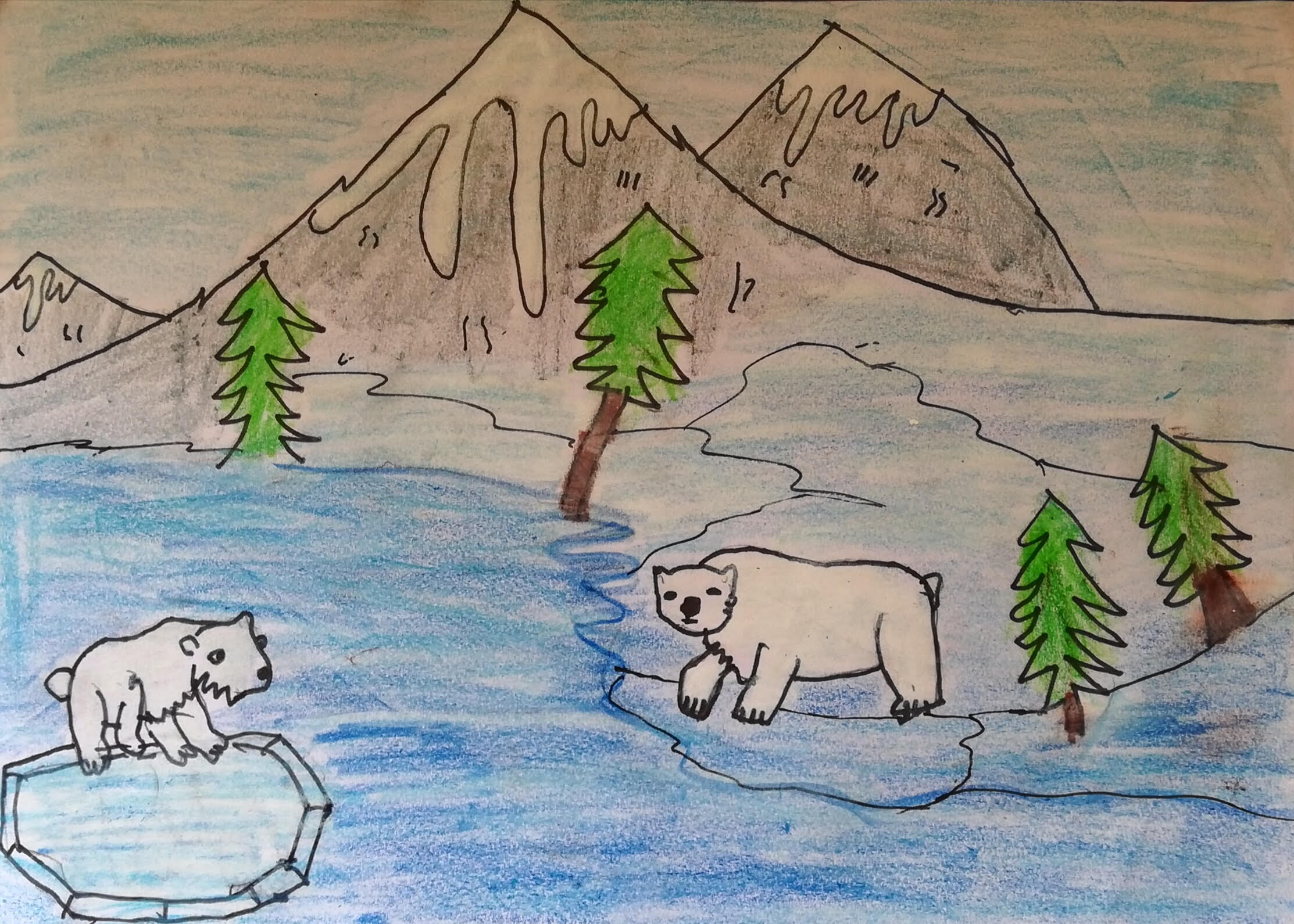 Полярные медведи на рыбалке летом детские рисунки